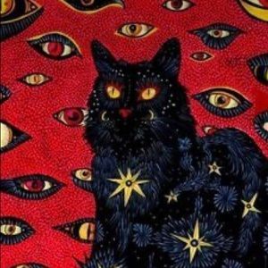 Meet your Posher, Cynthia